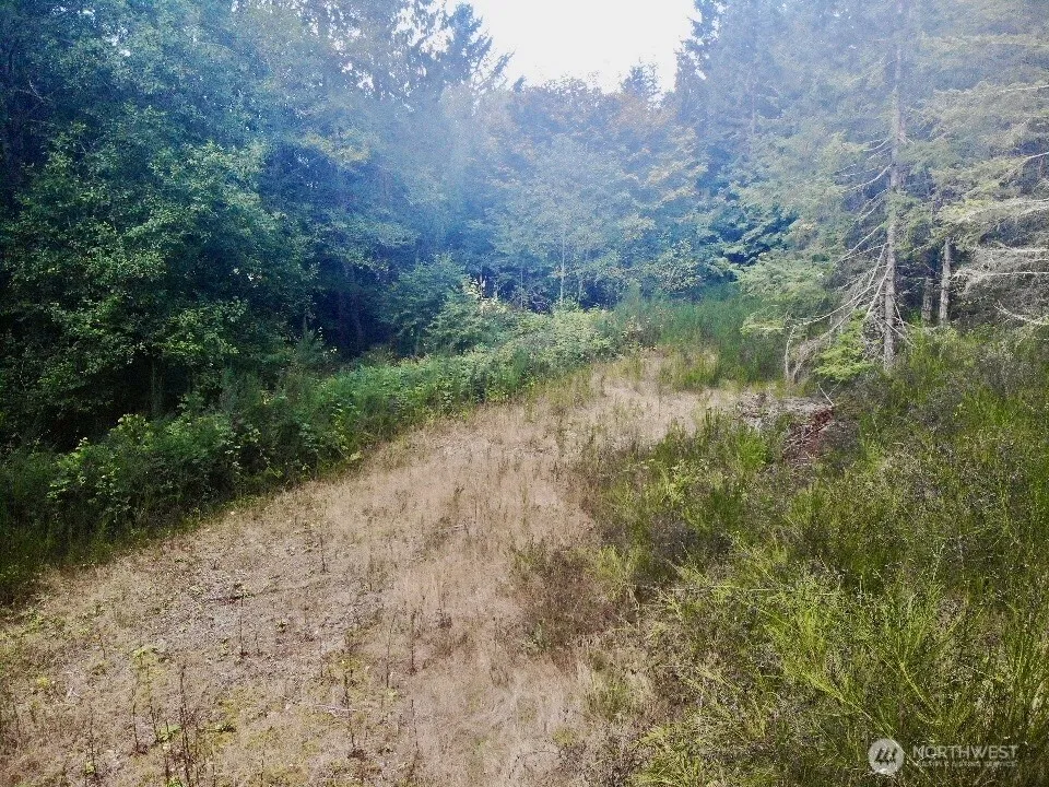 7625 NW Mountain Vista Lane Silverdale, WA 98383