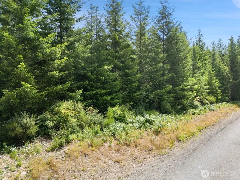 0 Lot A W Satsop Road E Elma, WA 98541