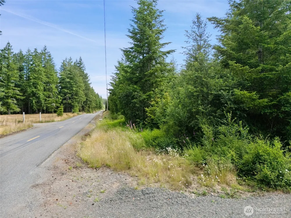 0 Lot A W Satsop Road E Elma, WA 98541