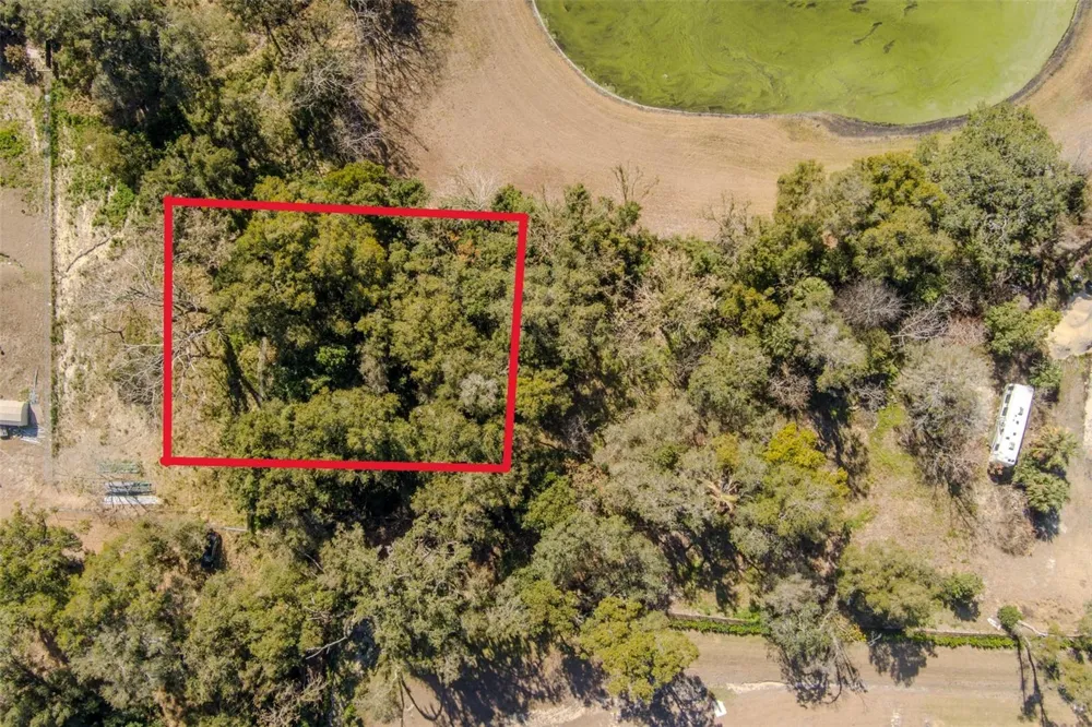 152 SAUNDERS STREET Apopka, FL 32703