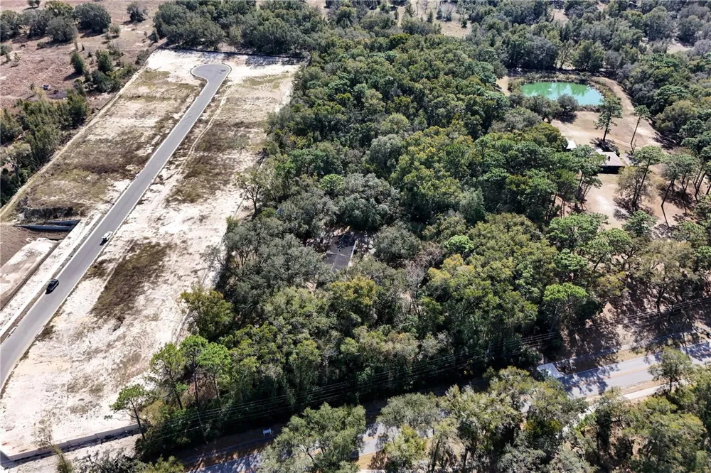 344 W PONKAN ROAD Apopka, FL 32712