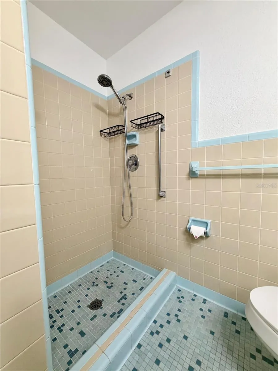 110 S CORONA AVENUE Clearwater, FL 33765