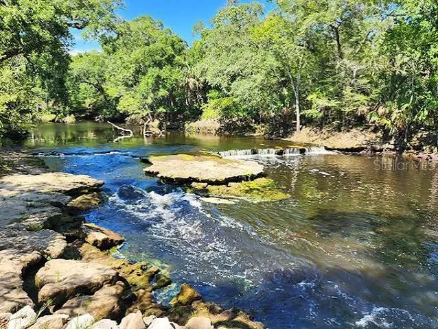 507 4TH STREET NW Steinhatchee, FL 32359