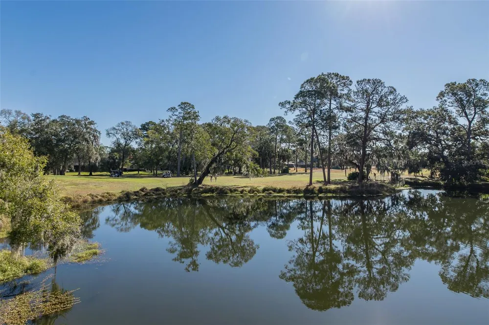 2676 TANGLEWOOD TRAIL Palm Harbor, FL 34685