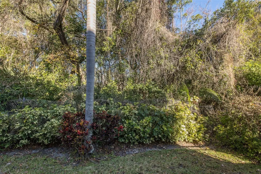 2676 TANGLEWOOD TRAIL Palm Harbor, FL 34685