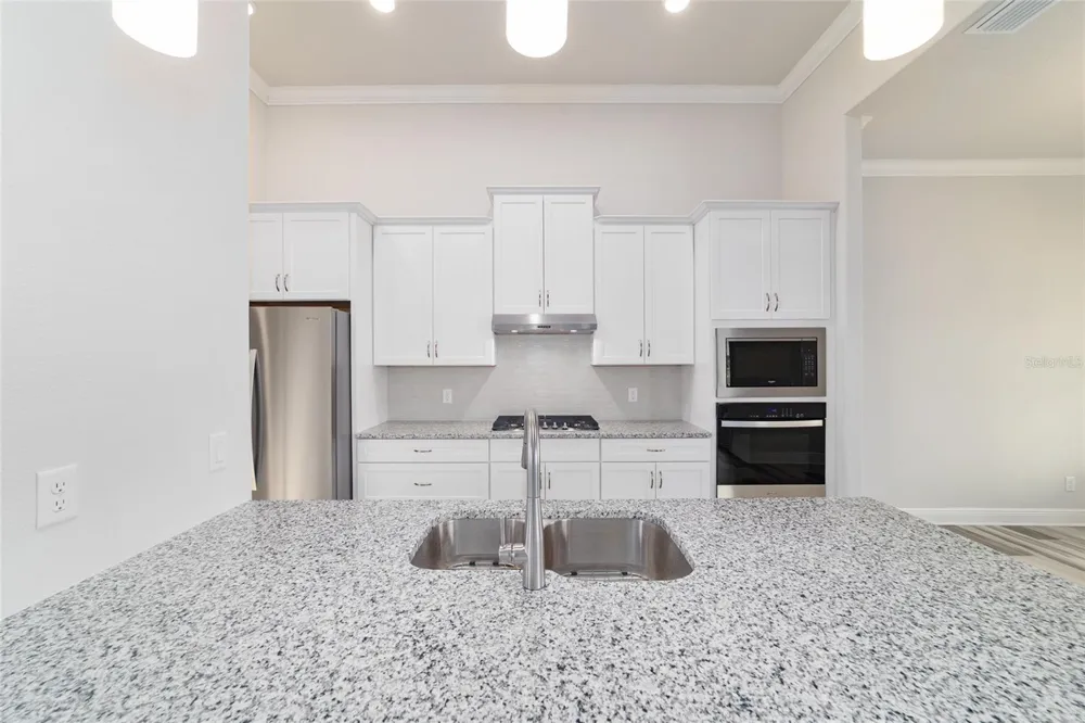 1499 E PEGASUS LANE Inverness, FL 34453