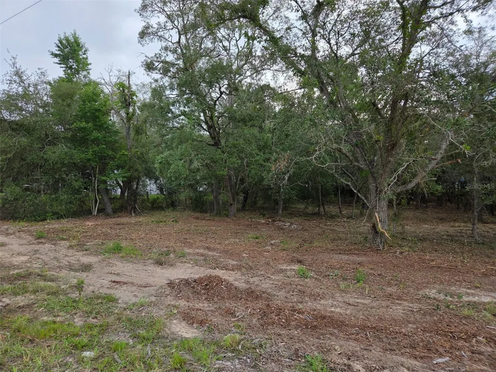 21531 SE 68TH LANE Morriston, FL 32668