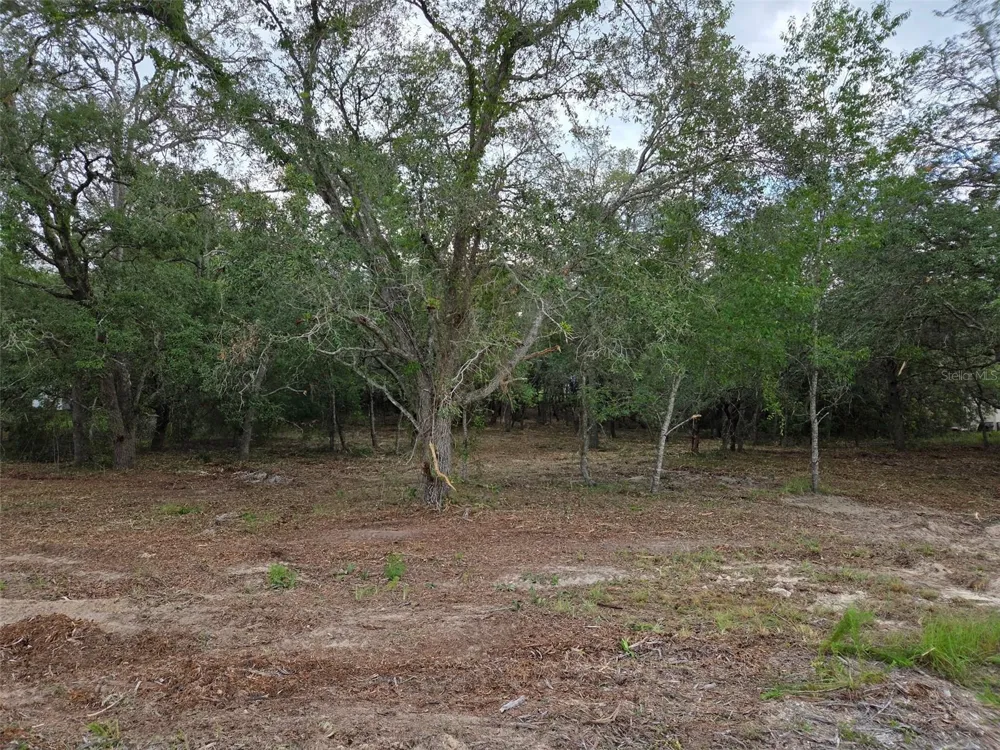 21531 SE 68TH LANE Morriston, FL 32668