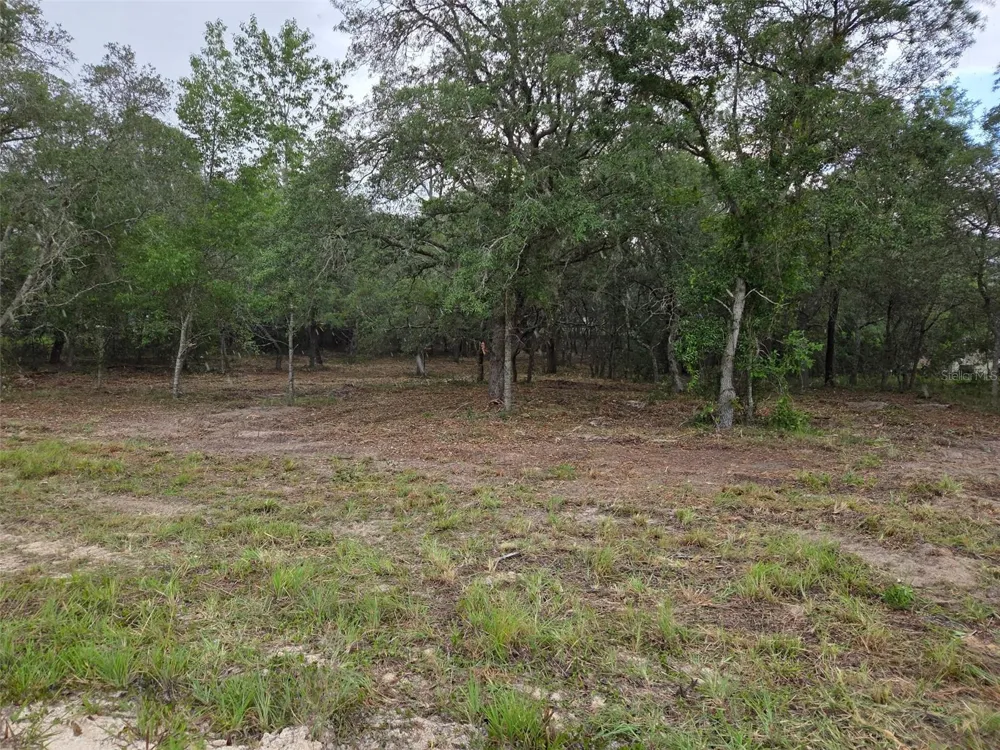 21531 SE 68TH LANE Morriston, FL 32668