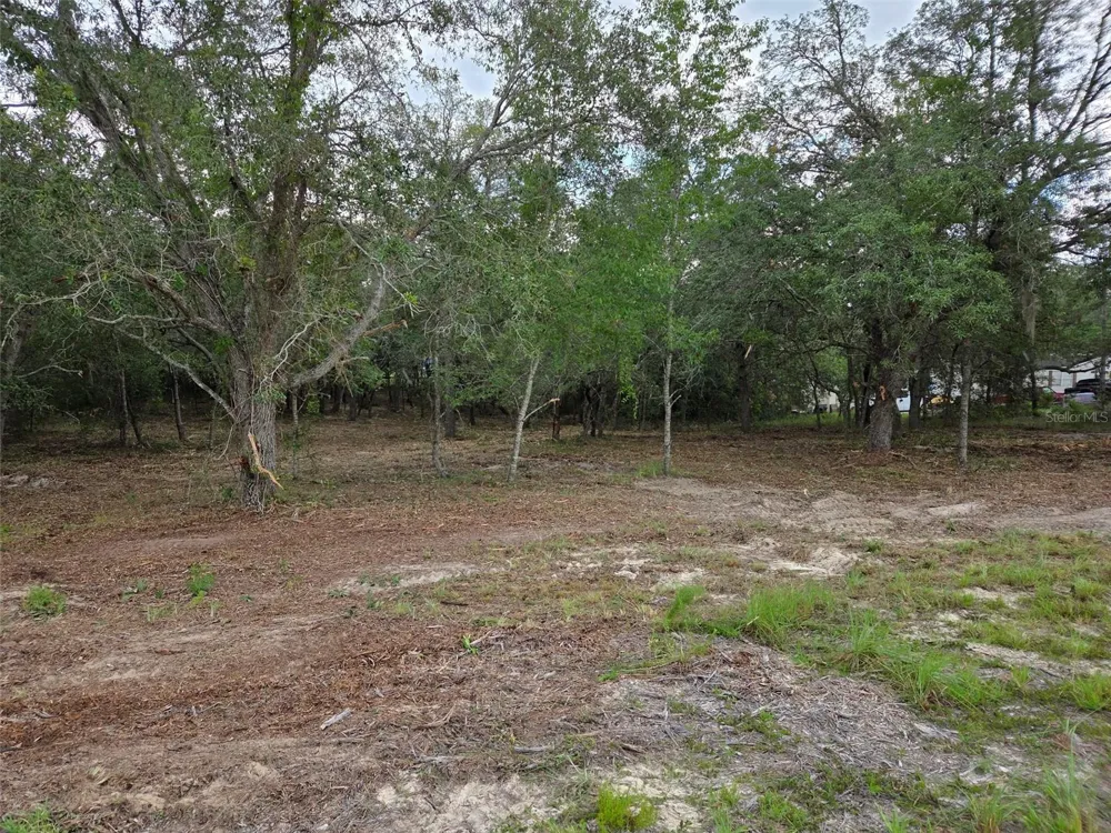 21531 SE 68TH LANE Morriston, FL 32668