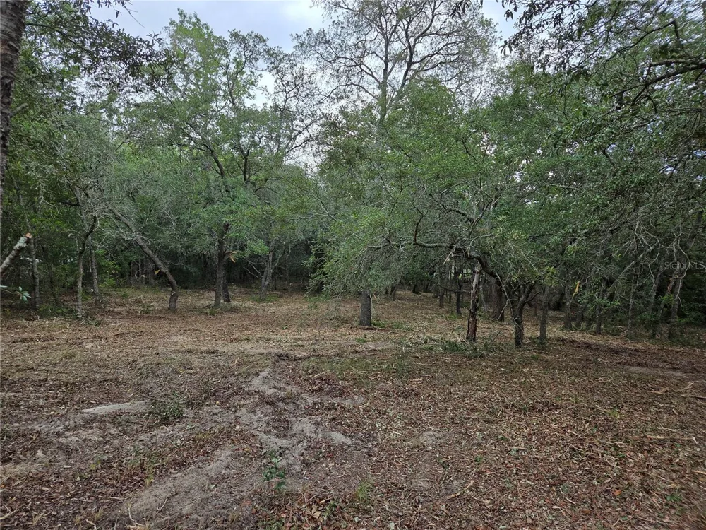 21531 SE 68TH LANE Morriston, FL 32668