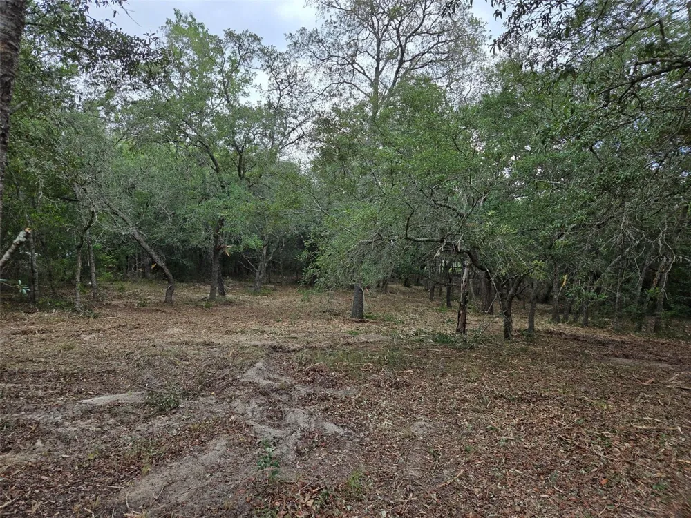 21531 SE 68TH LANE Morriston, FL 32668