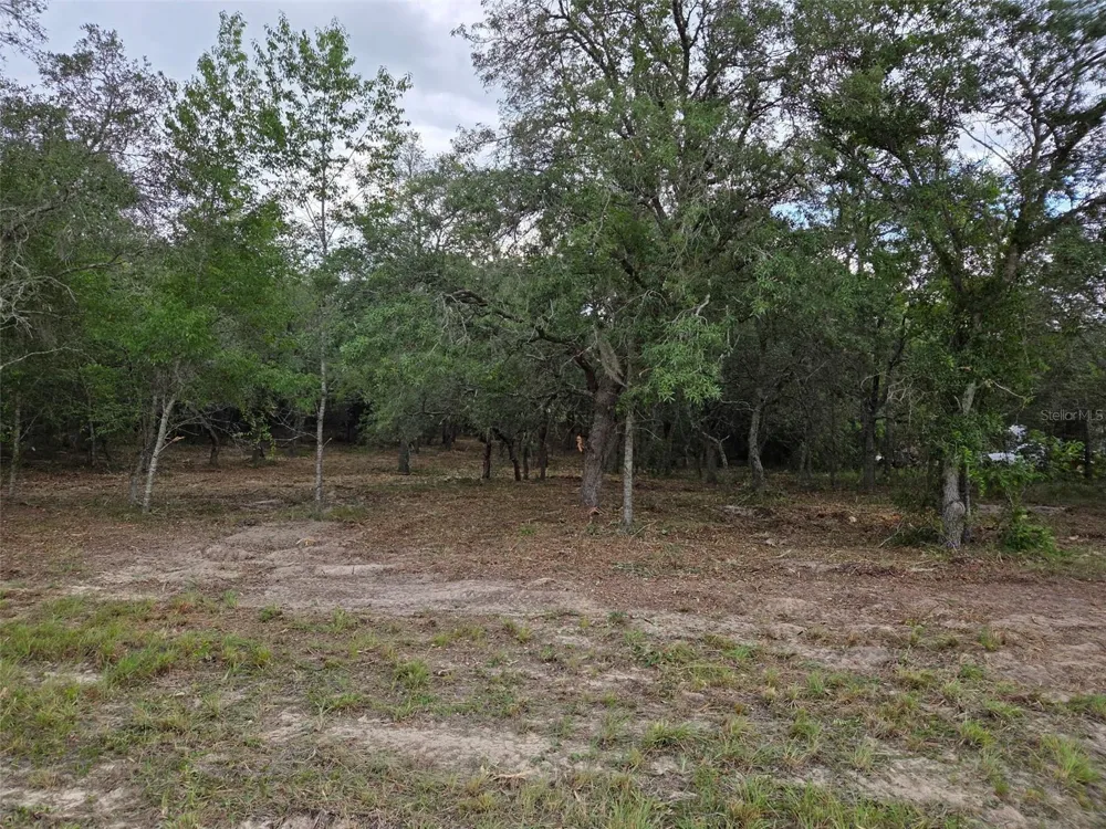 21531 SE 68TH LANE Morriston, FL 32668