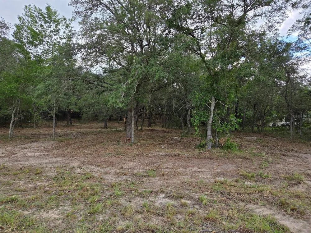 21531 SE 68TH LANE Morriston, FL 32668