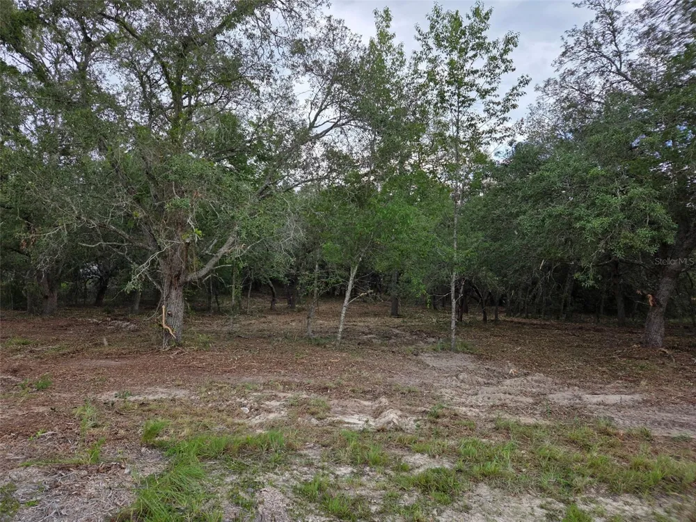 21531 SE 68TH LANE Morriston, FL 32668