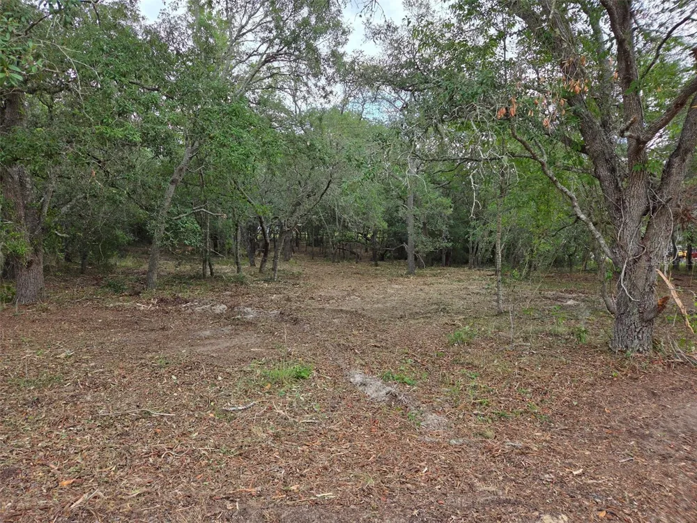 21531 SE 68TH LANE Morriston, FL 32668