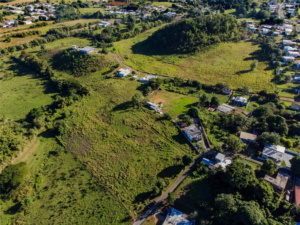 480 CALLE S. TOSADO Quebradillas, PR 00678