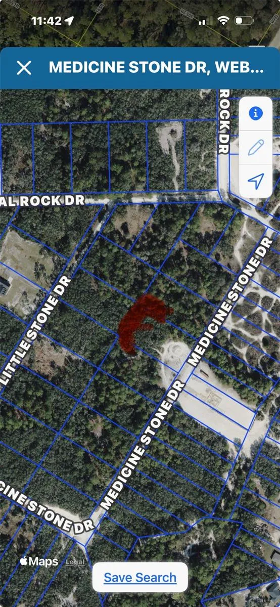 MEDICINE STONE DRIVE Webster, FL 33597