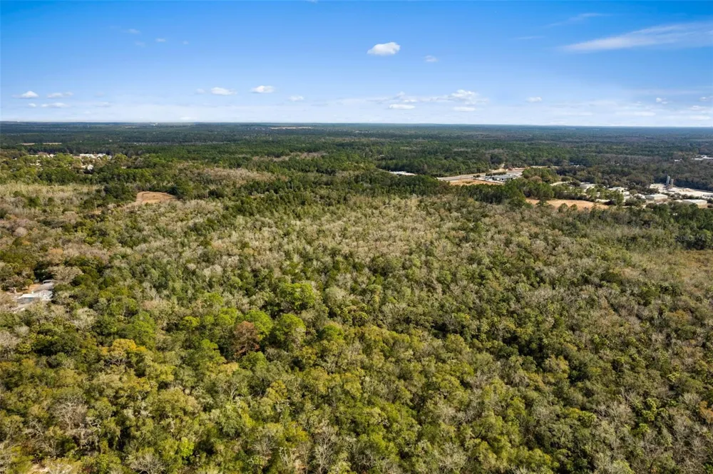 2872 S SUNCOAST BOULEVARD Homosassa, FL 34448
