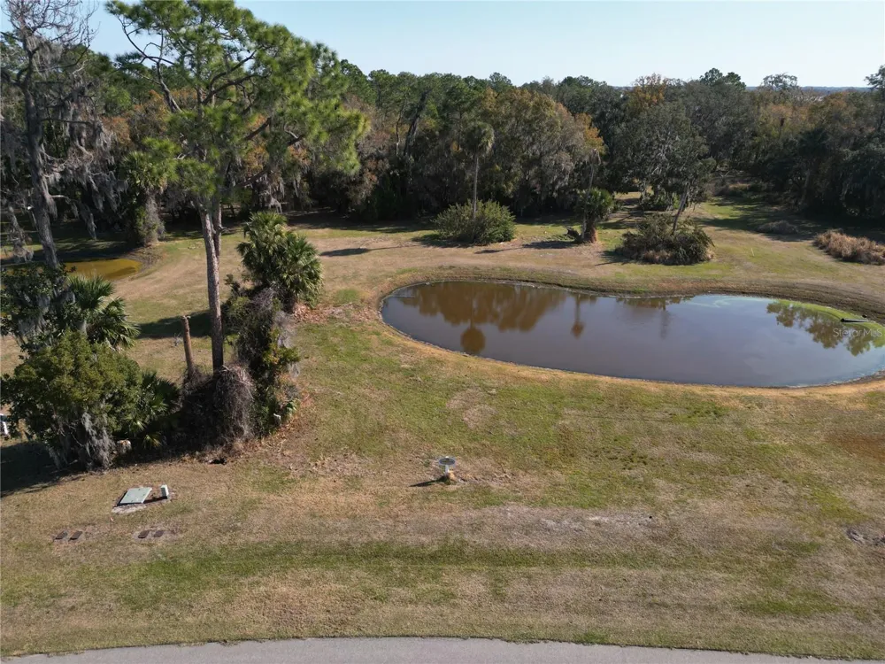 3672 HIDDEN RIVER LANE Tavares, FL 32778