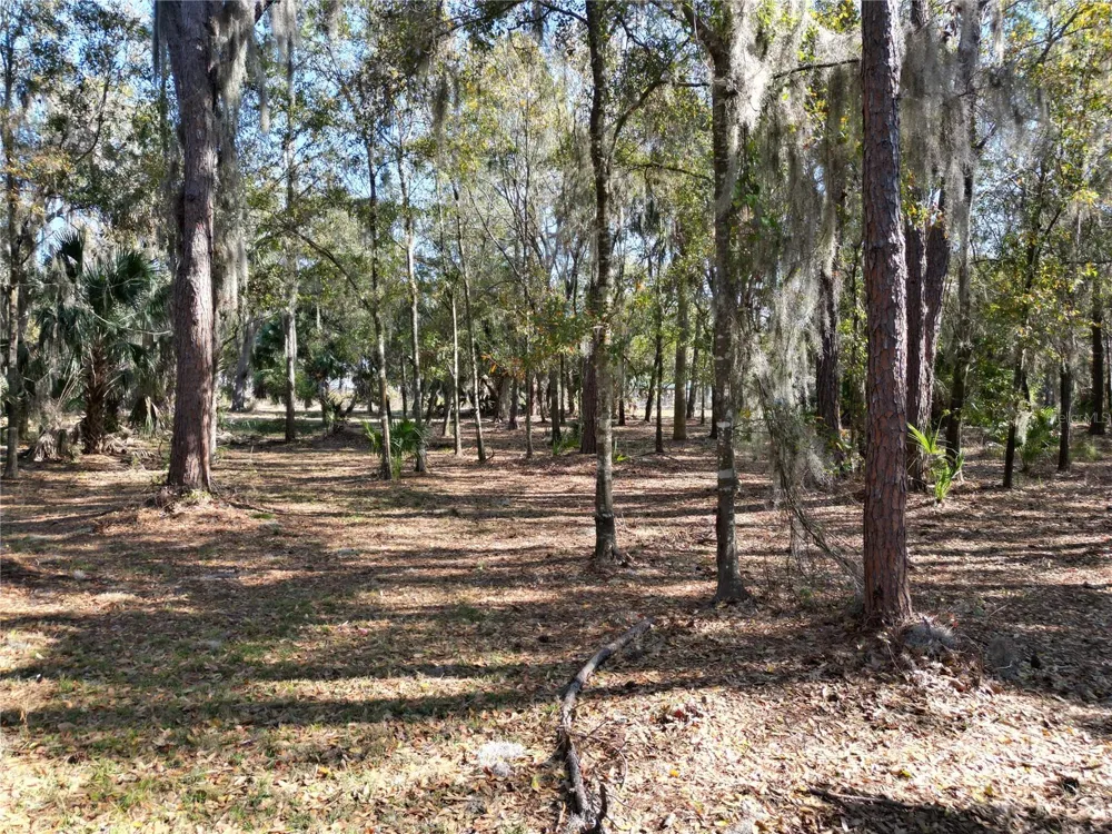3672 HIDDEN RIVER LANE Tavares, FL 32778