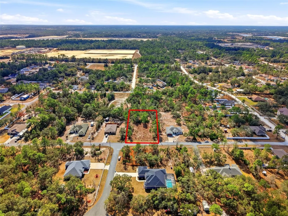 11263 MEXICAN CANARY AVENUE Weeki Wachee, FL 34614