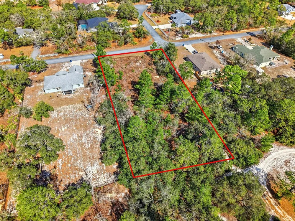 11263 MEXICAN CANARY AVENUE Weeki Wachee, FL 34614