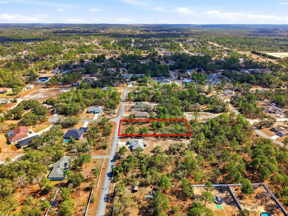 11263 MEXICAN CANARY AVENUE Weeki Wachee, FL 34614