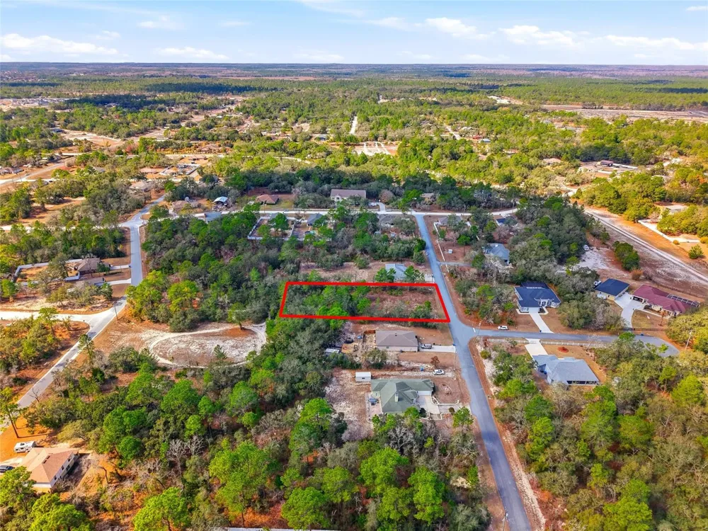 11263 MEXICAN CANARY AVENUE Weeki Wachee, FL 34614