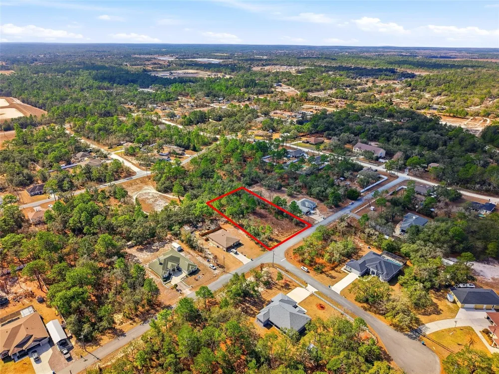 11263 MEXICAN CANARY AVENUE Weeki Wachee, FL 34614