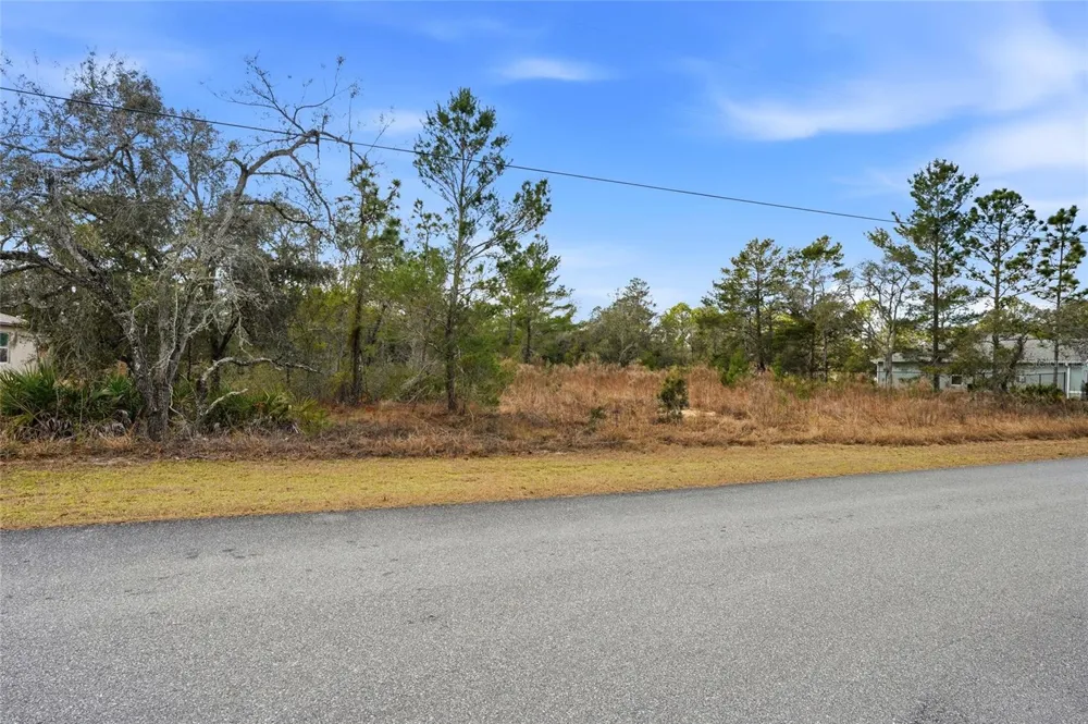 11263 MEXICAN CANARY AVENUE Weeki Wachee, FL 34614