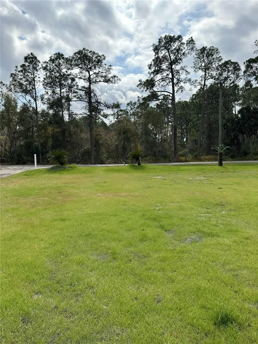 2598 ENTERPRISE OSTEEN ROAD Osteen, FL 32764