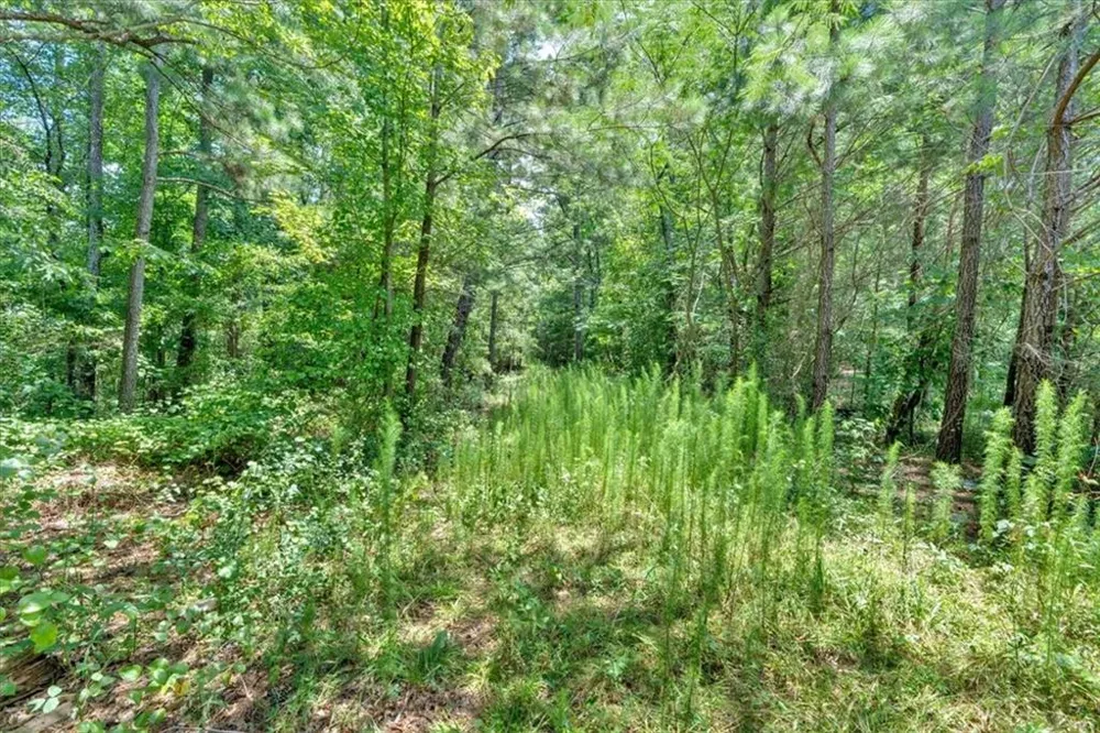 0 Timmons Circle Villa Rica, GA 30180
