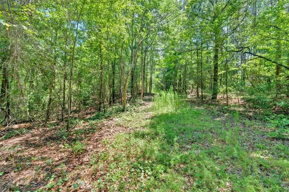 0 Timmons Circle Villa Rica, GA 30180