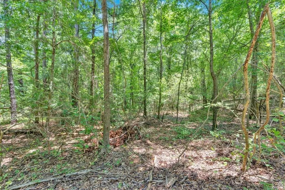 0 Timmons Circle Villa Rica, GA 30180