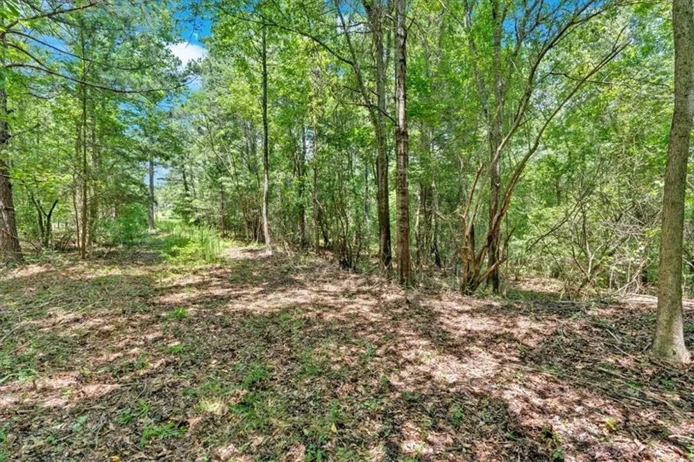 0 Timmons Circle Villa Rica, GA 30180