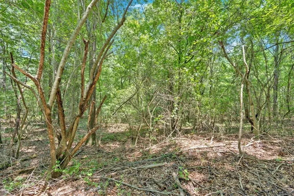 0 Timmons Circle Villa Rica, GA 30180