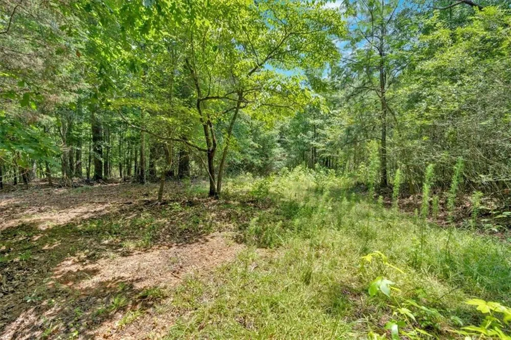 0 Timmons Circle Villa Rica, GA 30180