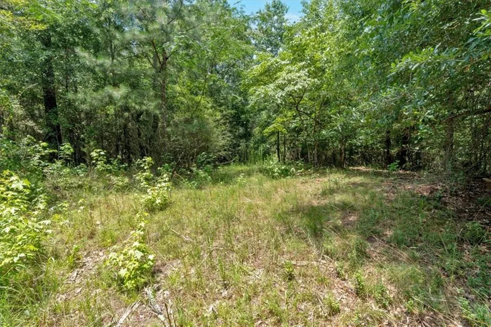 0 Timmons Circle Villa Rica, GA 30180