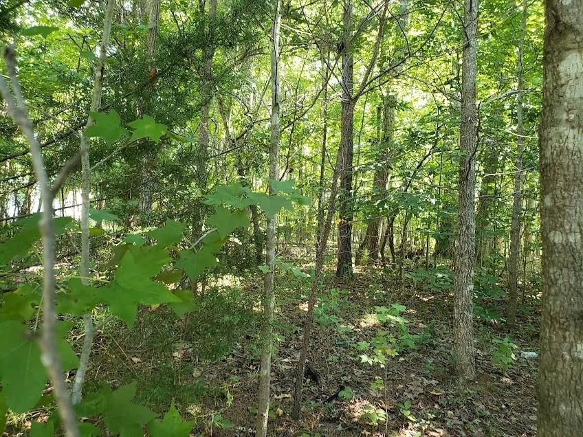 7092 Porter Drive Other, NC 27565