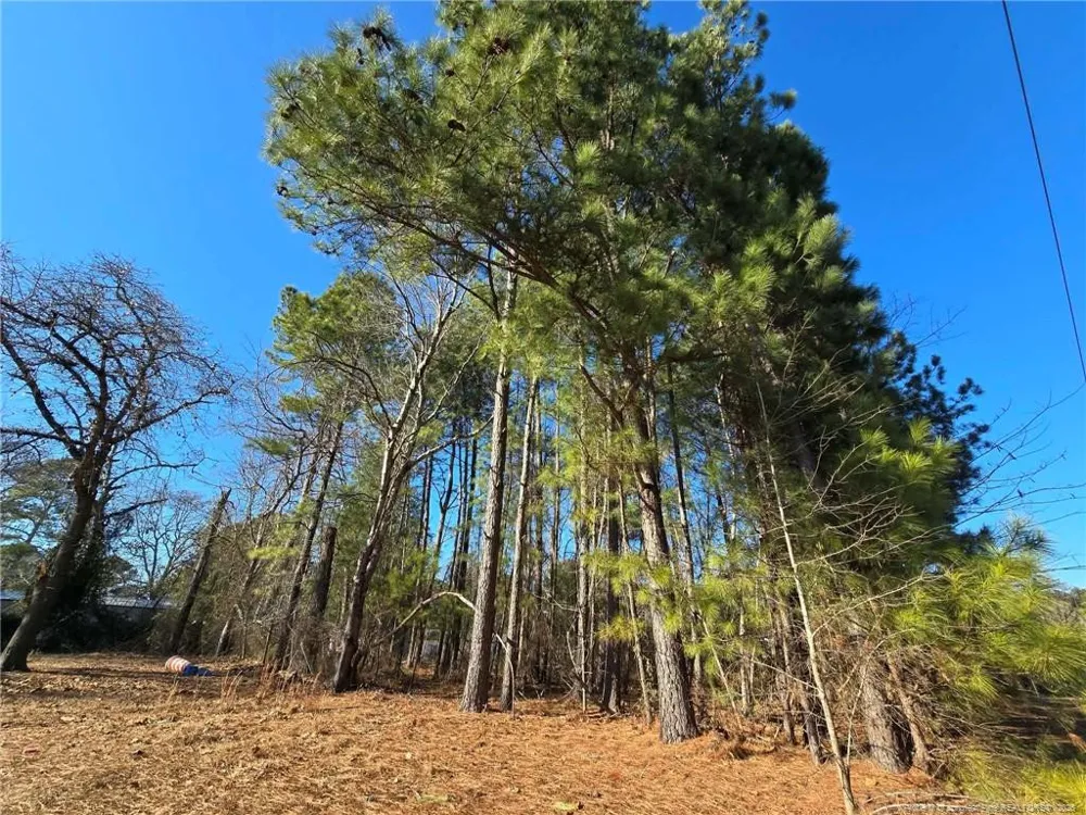 4026 Nursery Road Spring Lake, NC 28390