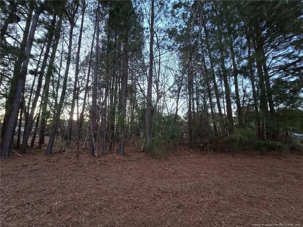 4026 Nursery Road Spring Lake, NC 28390