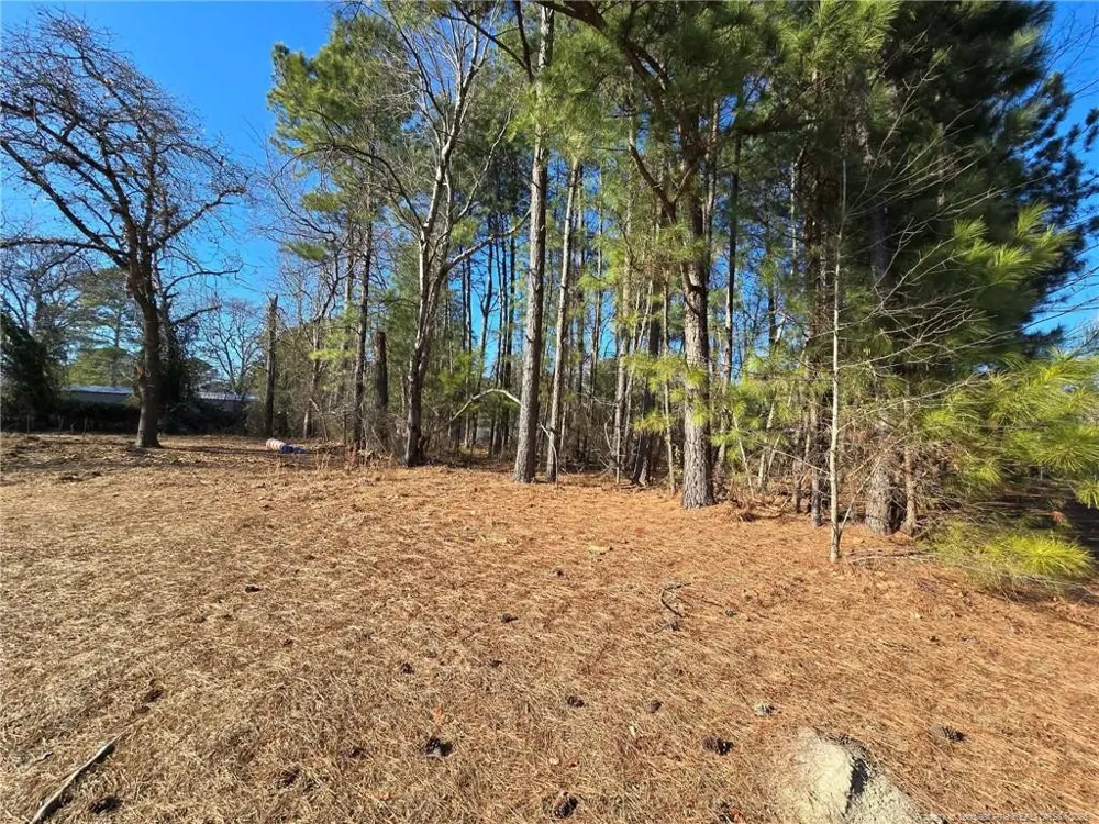4026 Nursery Road Spring Lake, NC 28390