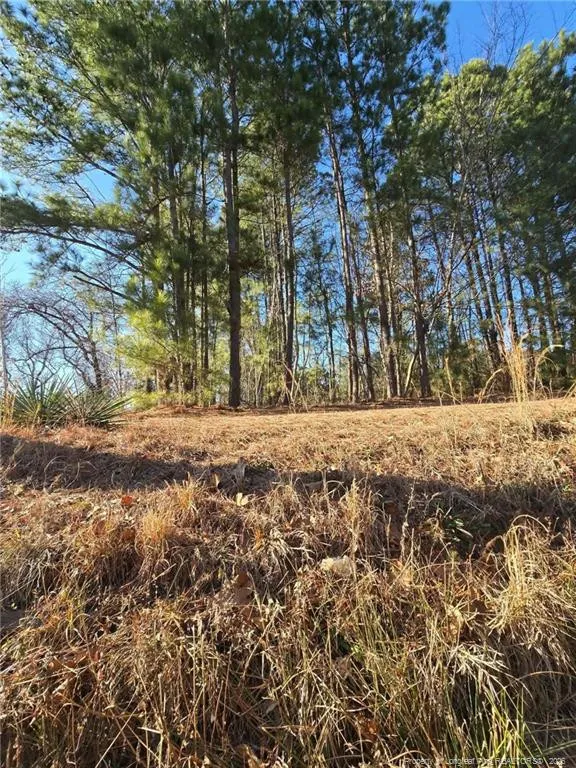 4026 Nursery Road Spring Lake, NC 28390