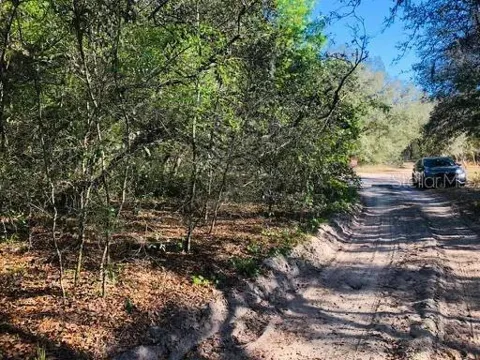 OAKRIDGE DRIVE