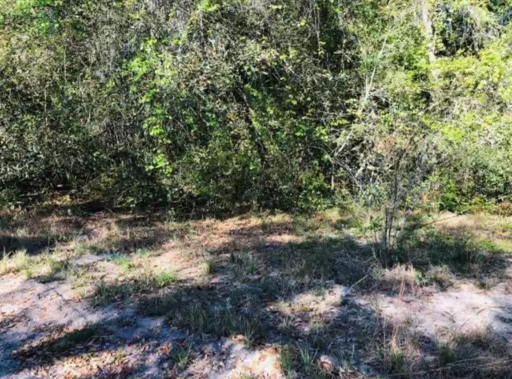 OAKRIDGE DRIVE Lady Lake, FL 32159