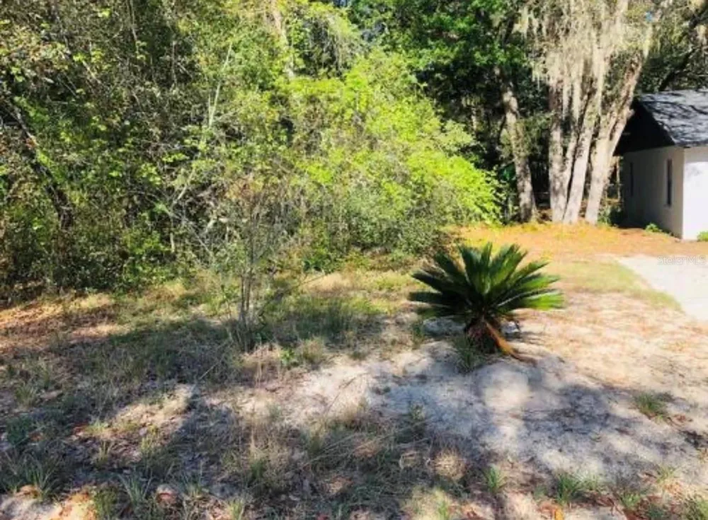 OAKRIDGE DRIVE Lady Lake, FL 32159