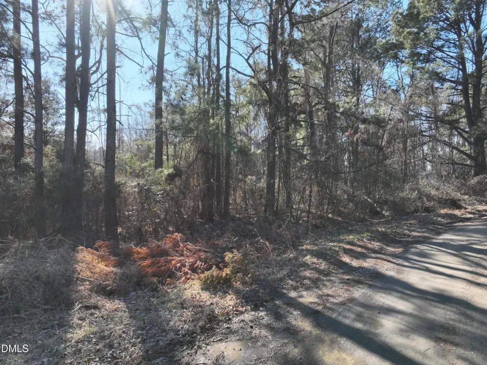 816 Mitchell Avenue Franklinton, NC 27525
