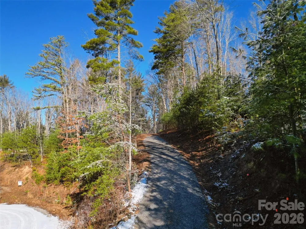 3 Dream Valley Drive #3 Clyde, NC 28721