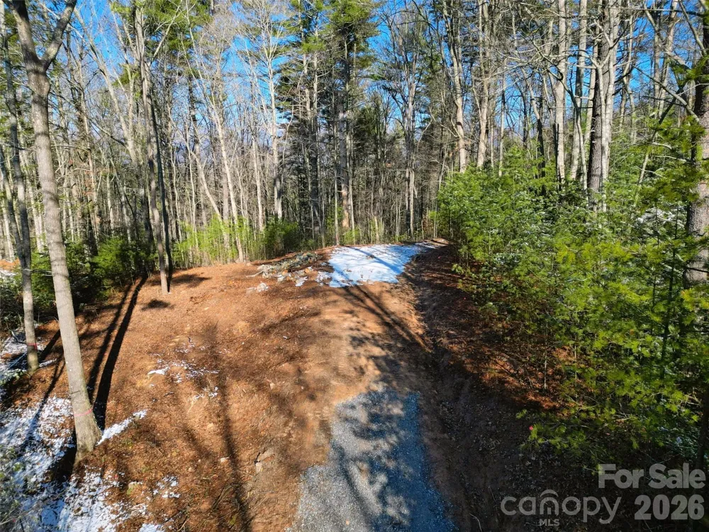 3 Dream Valley Drive #3 Clyde, NC 28721